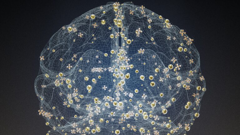 Quantum visual data 3